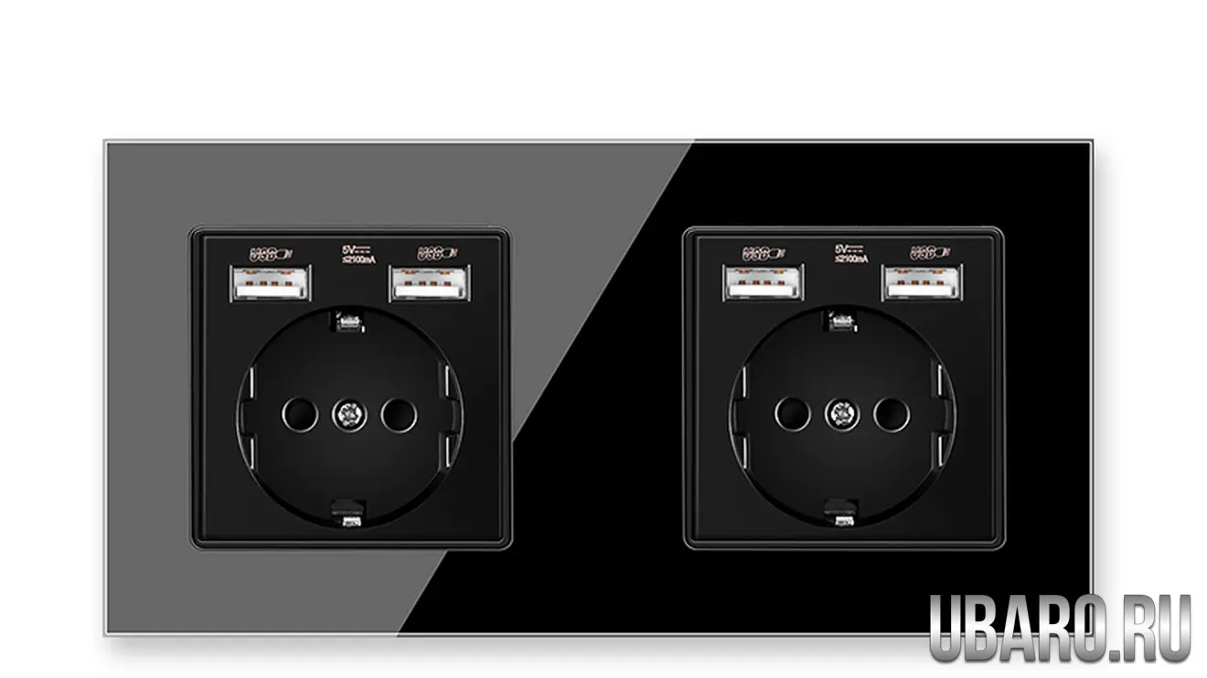Розетка двойная цельная черная с USB разъемами DS-172-U2-B (71)